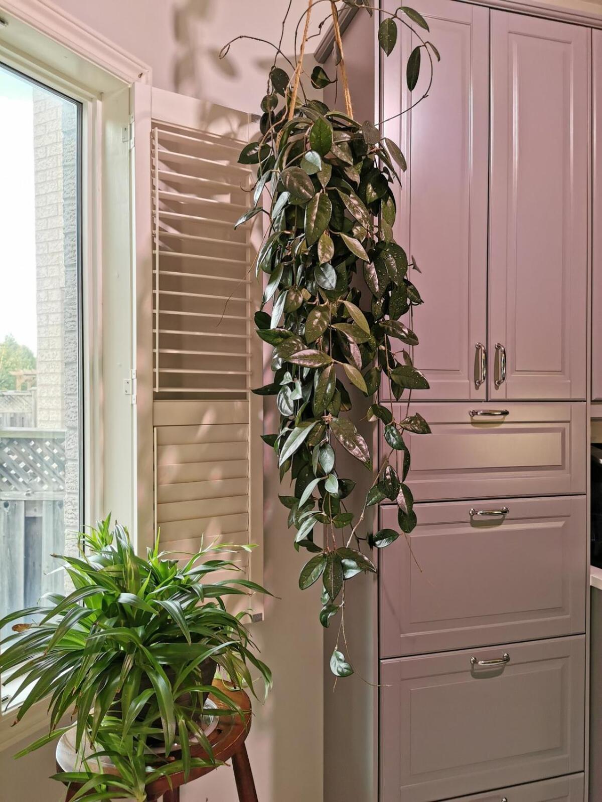 4 Bedroom 3 Washroom Charming Home In Markham With Warm Cozy Vibe Ngoại thất bức ảnh
